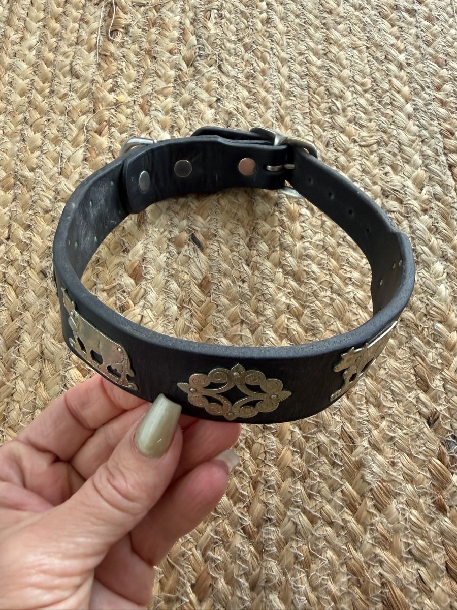 Guinzagli & Collari: Appenzeller Halsband 54cm – Usato da Staufen venduto da Elina08 1