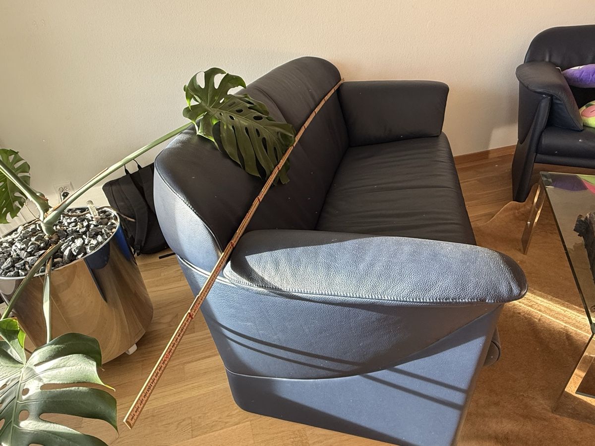Sofas: Sofa – Gebraucht aus Wallisellen von Efrillo 1