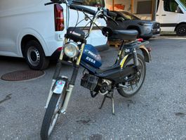 Pony GTX 503 mit Ausweis
