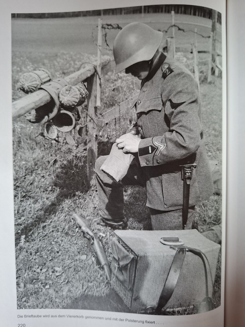 Libri: Schweizer Armee Militär,  Brieftauben Buch – Usato da Schwanden Sigrisw venduto da len_9yqg 8