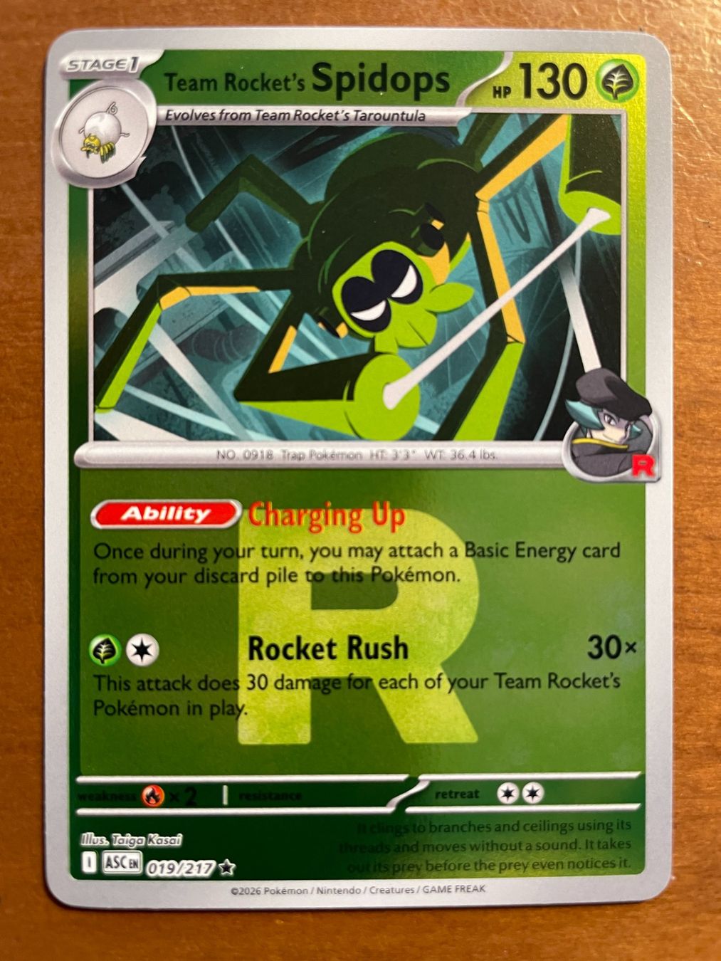 Pokémon Carte collezionabili: Pokemon Team Rocket's Spidops Reverse (Versand gratis) – Nuovo (secondo la descrizione) da Chur venduto da Angerson
