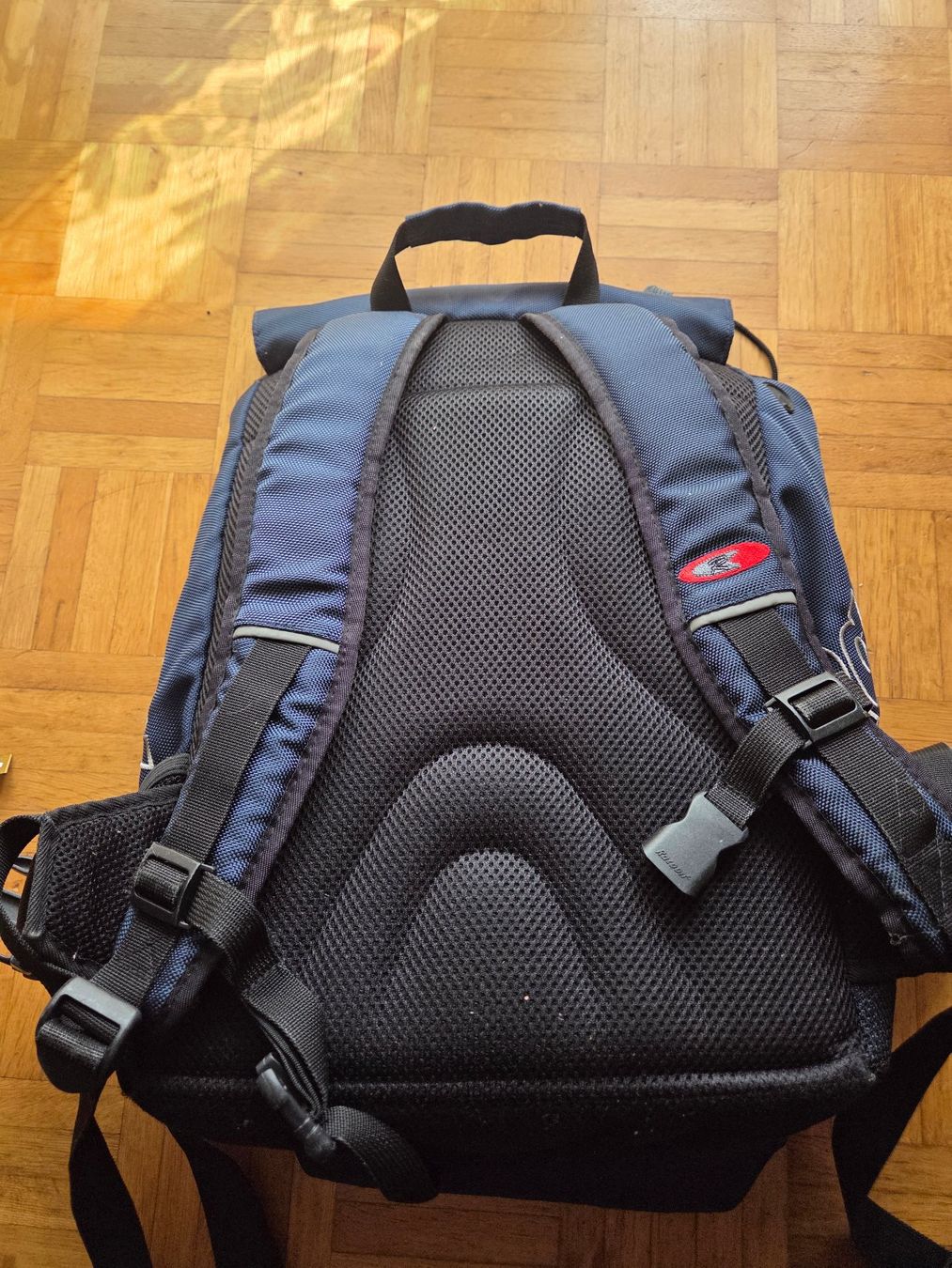 Racoon Zaini: Racoon Schulrucksack – Usato da Basel venduto da grandfamily 2