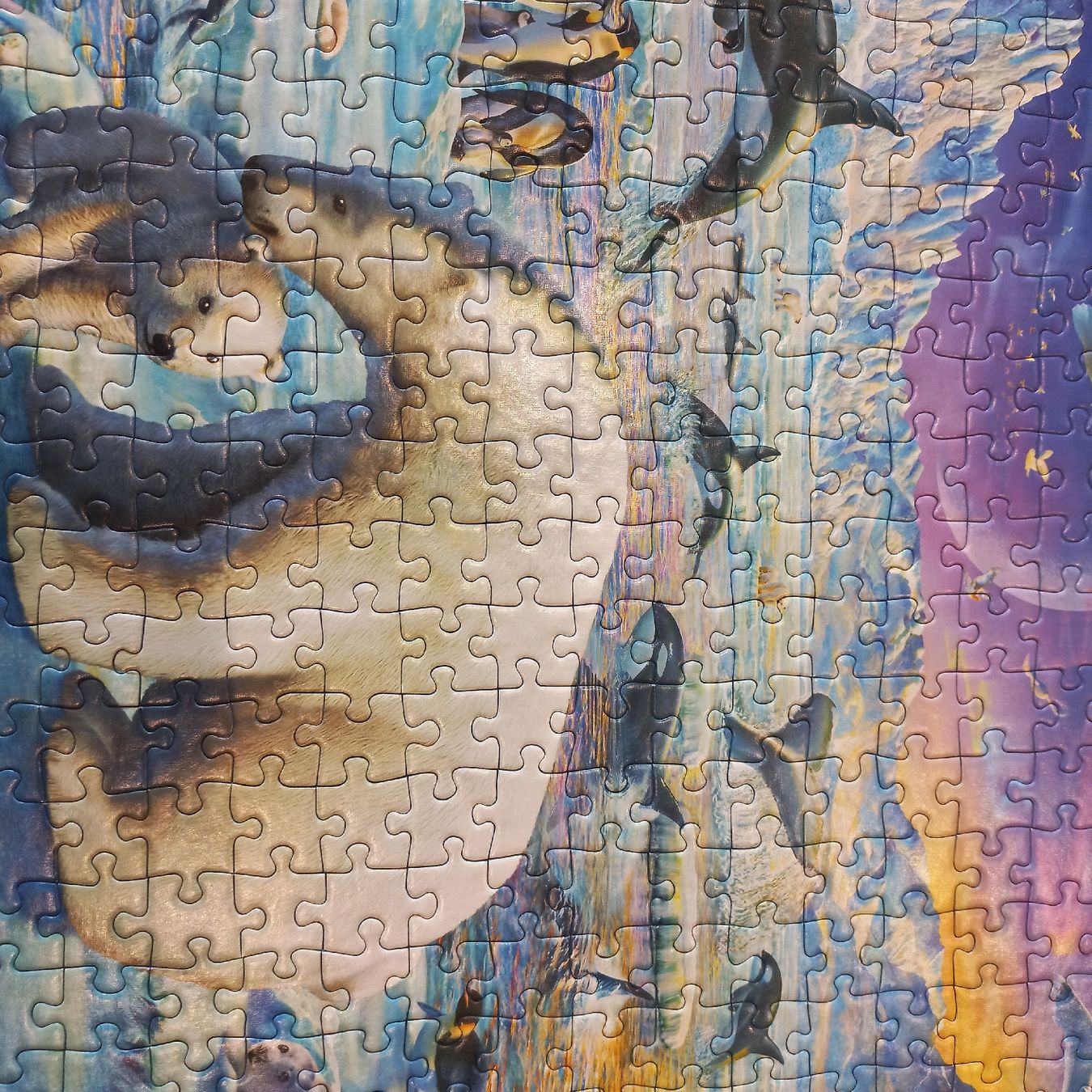 Ravensburger Puzzles: Ravensburger Puzzle 2×300 pièces  – Neu (gemäss Beschreibung) aus Dompierre FR von fat_xth5 3