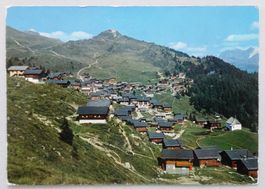 Bettmeralp 1930 m, Wurzenbord