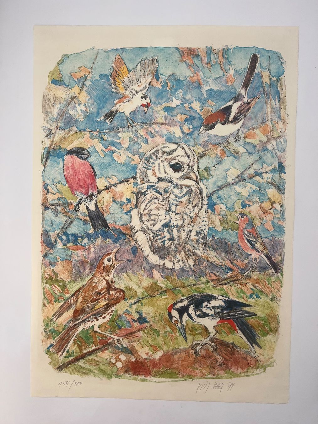 Arts picturaux & lithographies: Fritz Hug, handsigniert und nummeriert – D'occasion à Rain par Pic-Ass