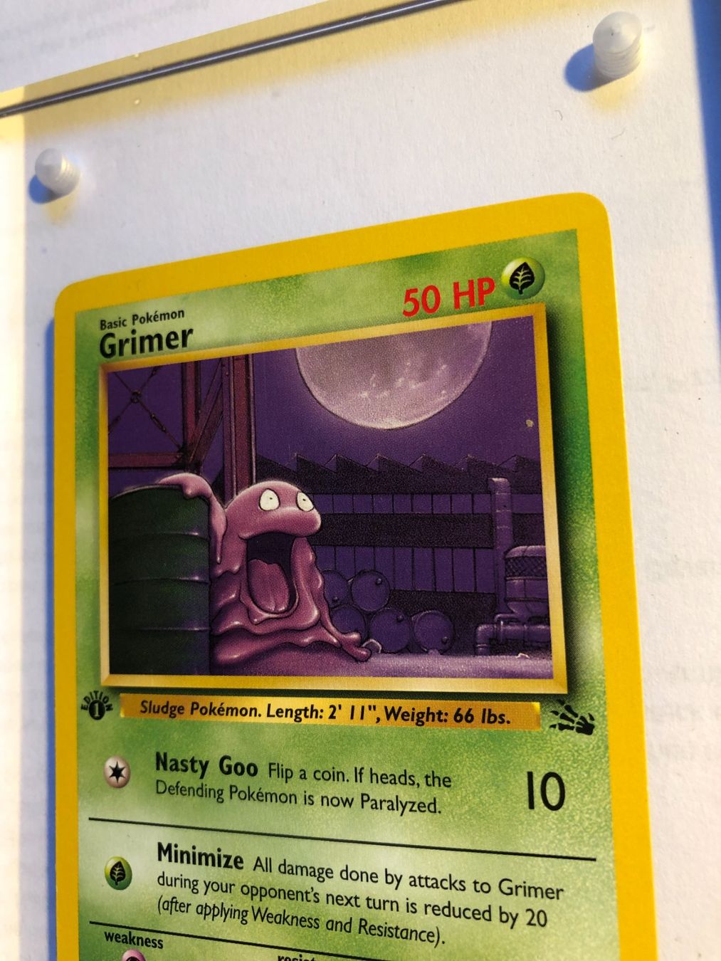 Carte collezionabili: Grimer 1st Fossil - MINT - ab 1.- – Usato da Giubiasco venduto da dan_pr8b 3