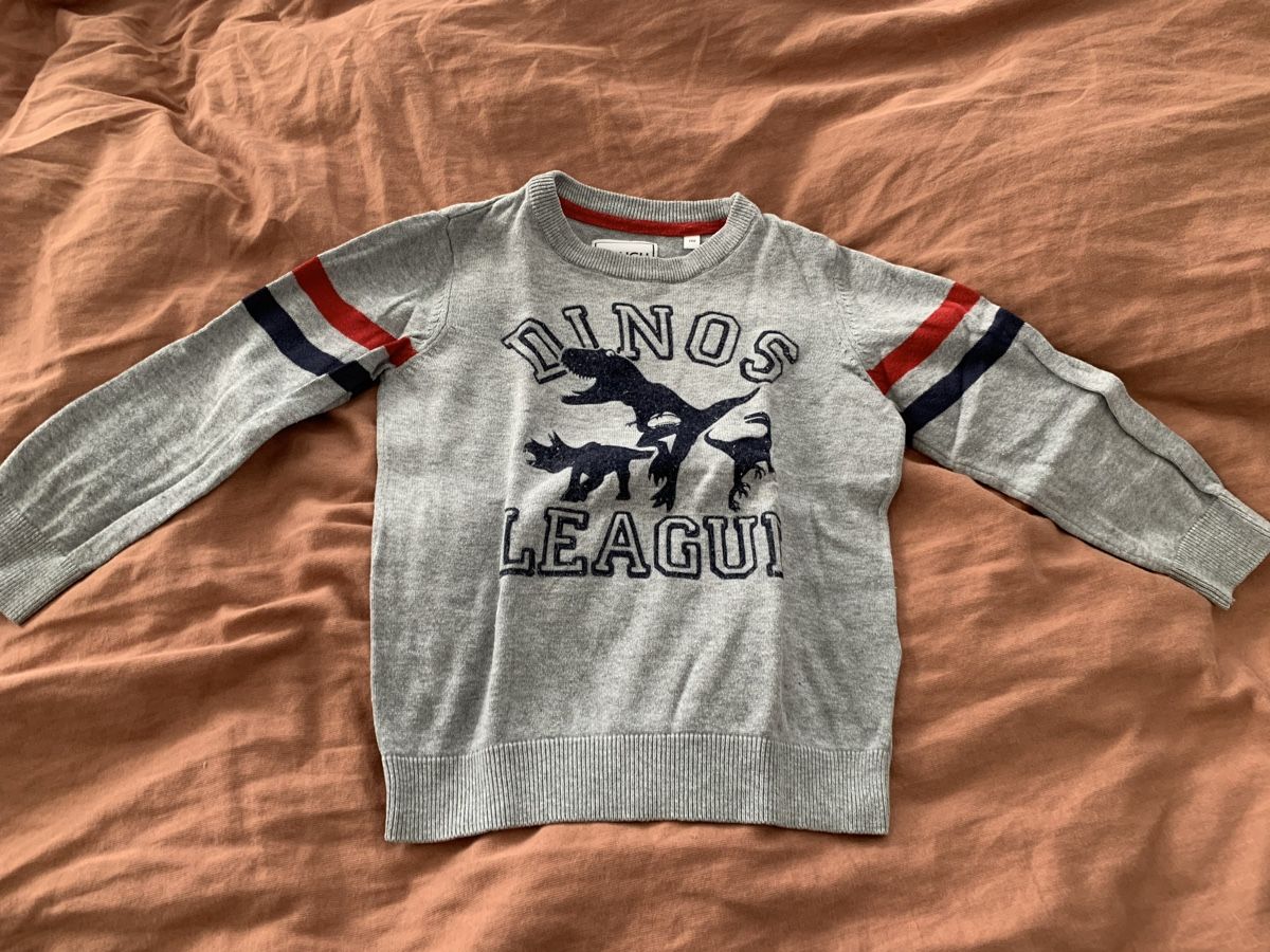 Pulls et sweat-shirts: Pullover Set Gr. 110-116 – D'occasion à Waltenschwil par Schmetterling2015 1