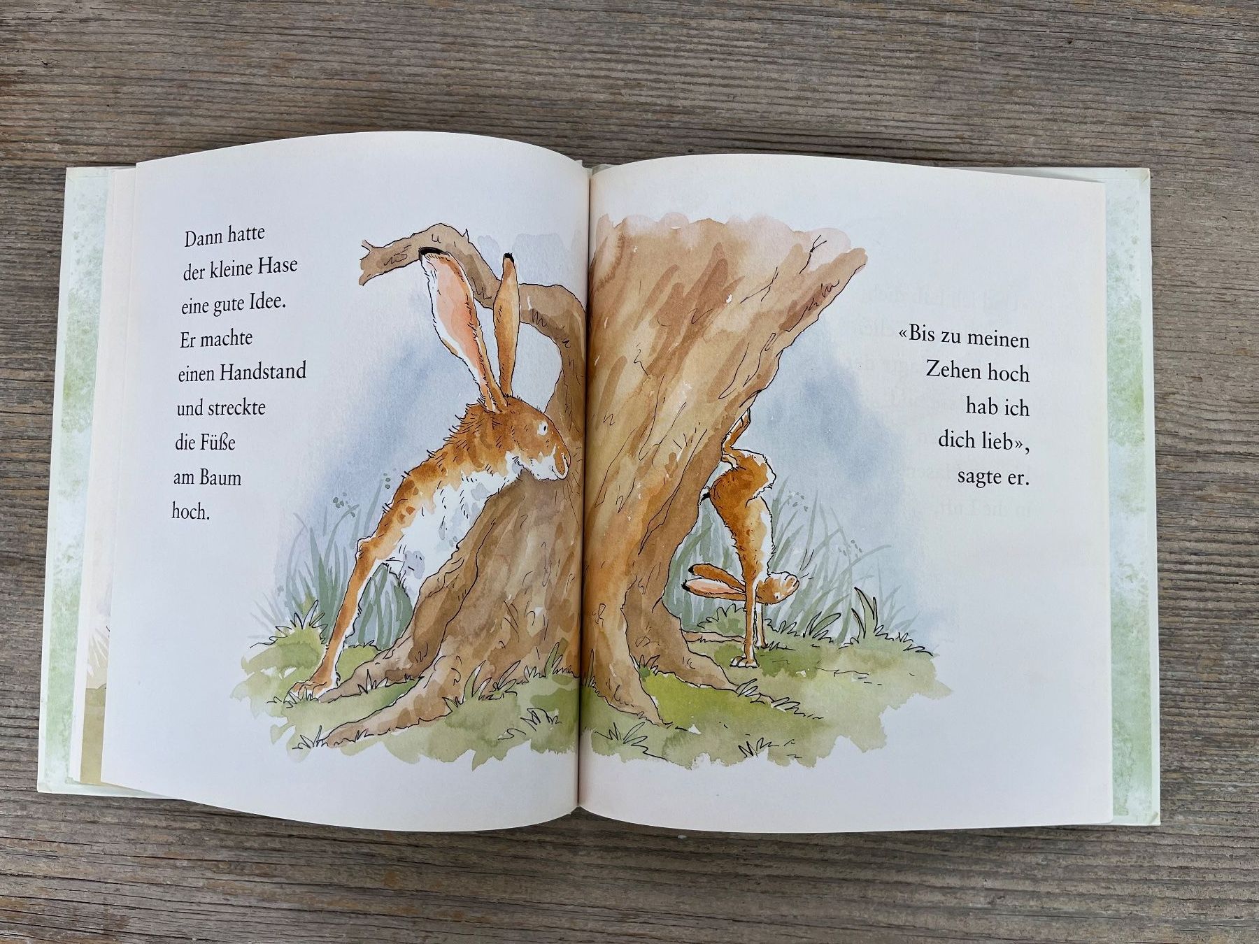 Libri: Weisst du eigentlich, wie lieb ich dich hab? Copyright 1994 – Usato da Pfäffikon ZH venduto da buresi 5