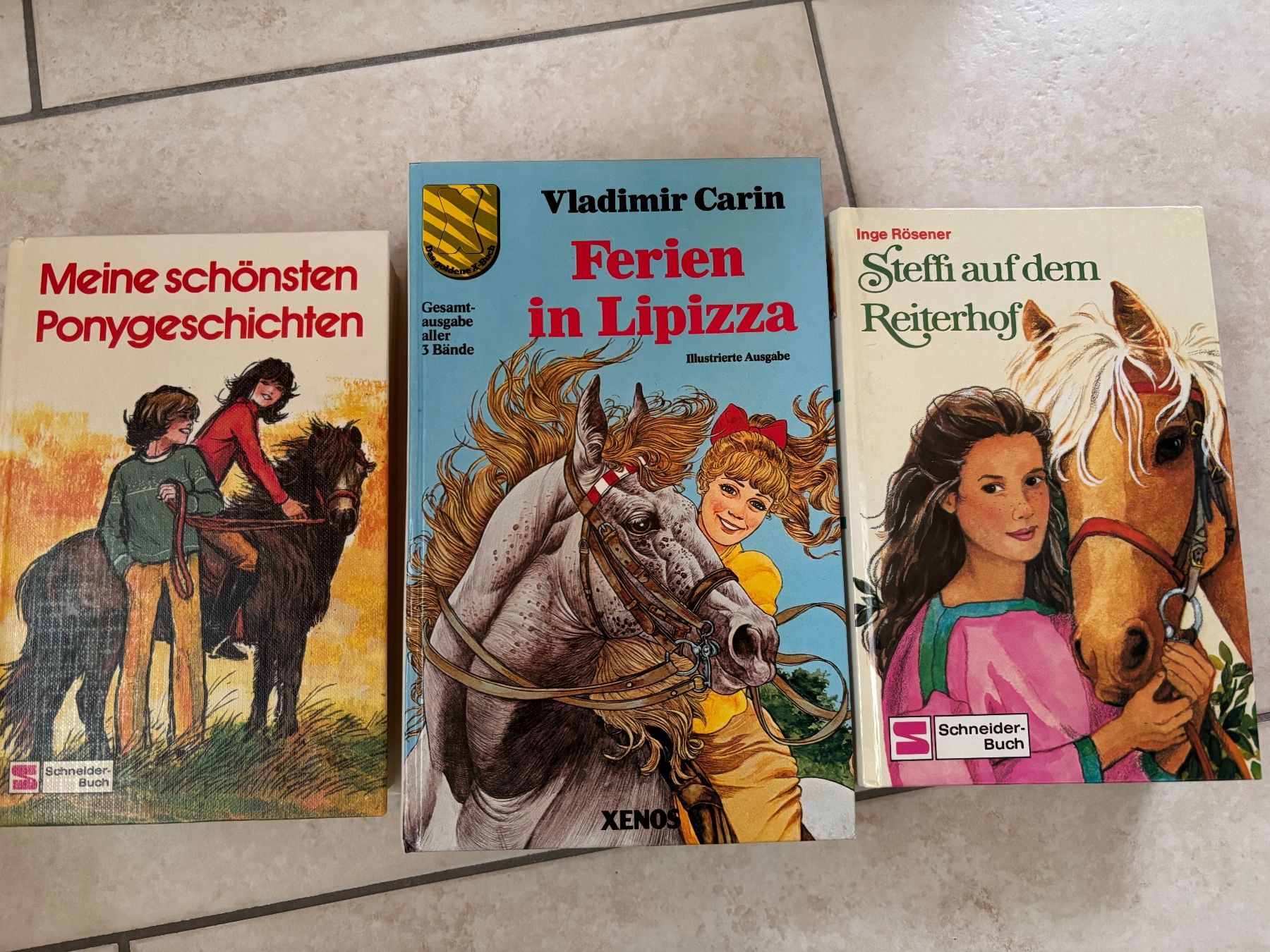 Libri: 10 Pferdebücher für Mädchen ab 9 – Usato da Glis venduto da Lisal 1