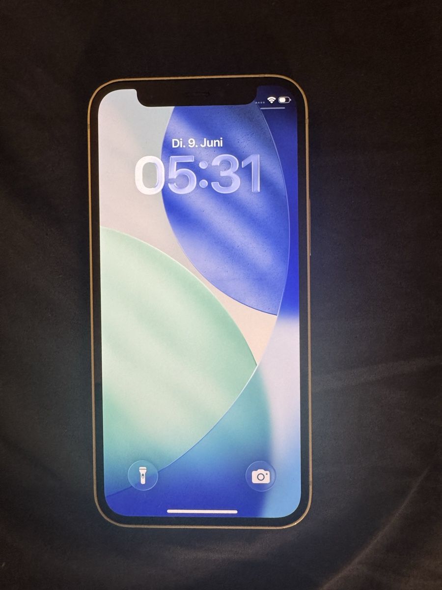 Apple Telefoni cellulari / Smartphones: iPhone 12 mini 64GB Grün – Usato da Horgen venduto da d.k77