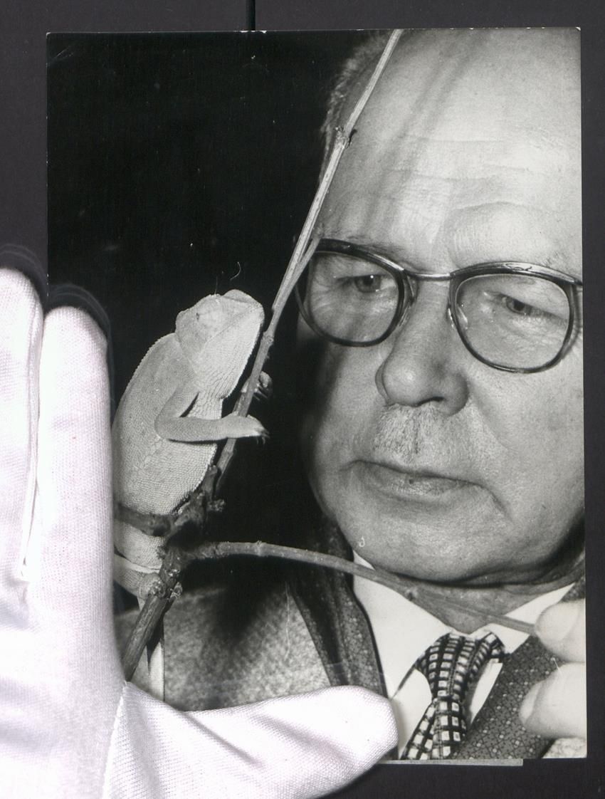 Fotografie &  Plakate: Fotografie Horst Müller, Düsseldorf, D – Gebraucht aus Berlin von bartko-reher
