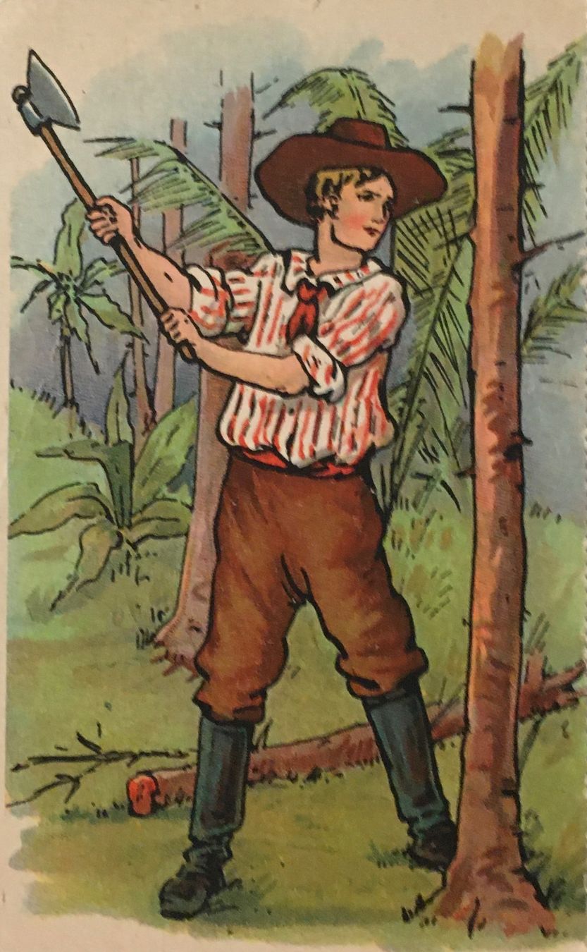 Cartoline postali: Holzfäller, Forstarbeiter, Waldarbeiter, Forstwirtschaft – Usato da Frauenfeld venduto da Merk52