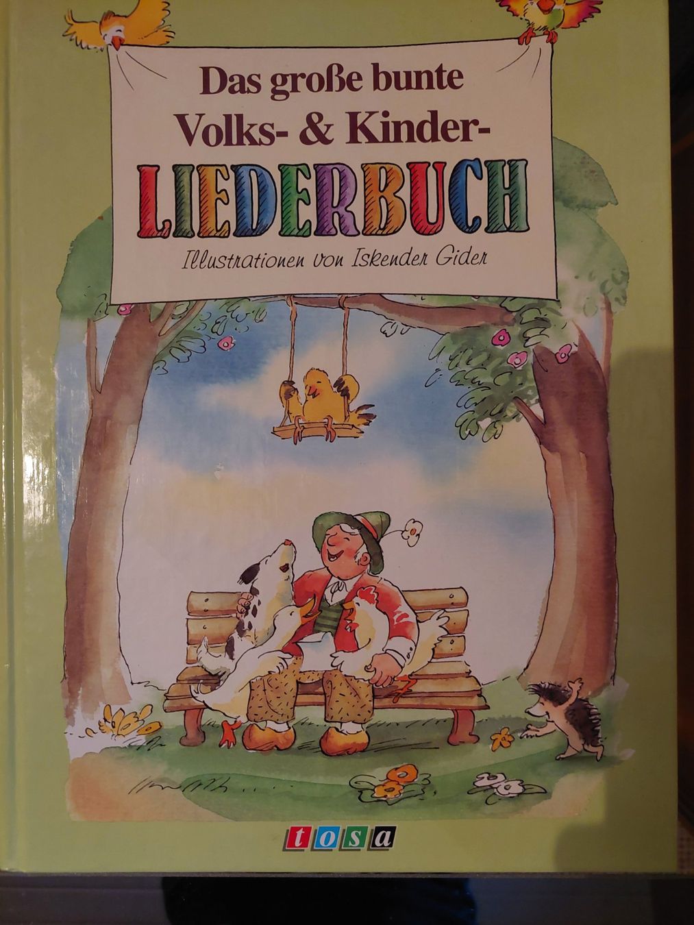 Libri: Liederbuch für Kinder – Usato da Wynau venduto da Meysi