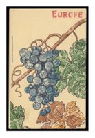 EUROPE  - 1900 "Grappe de Timbres" O.F. Bernheim