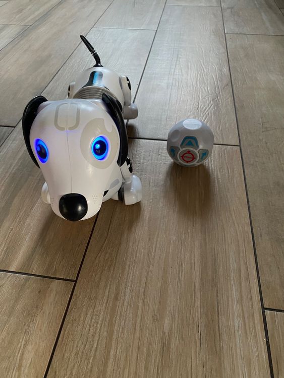 Rex, le chien robot sur gulli - actualité - chien - SantéVet
