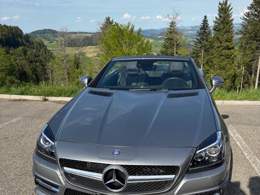 Mercedes Benz SLK 350 ab Servie und MFK