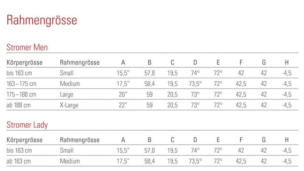 Stromer Biciclette: Stromer ST1 Sport, 38km/h, Gr. S – Usato da Biel/Bienne venduto da dalbotex 6