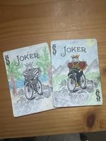 2 von Hand angemalte bycicle karten 