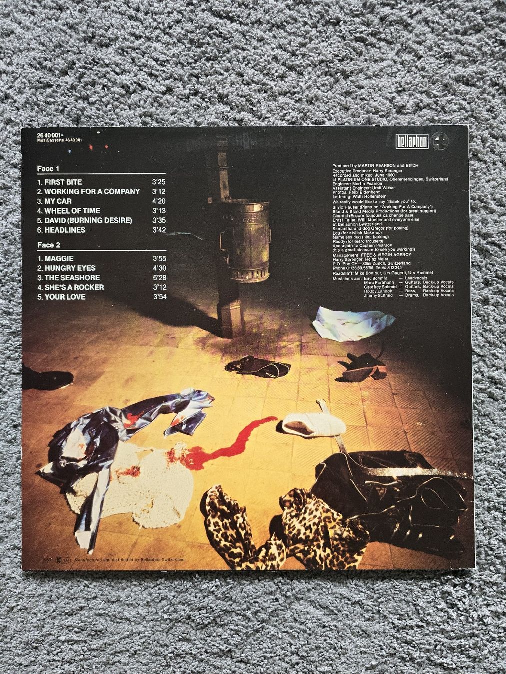 Dischi in vinile: Bitch LP – Usato da Fehraltorf venduto da sca_5j9s 1