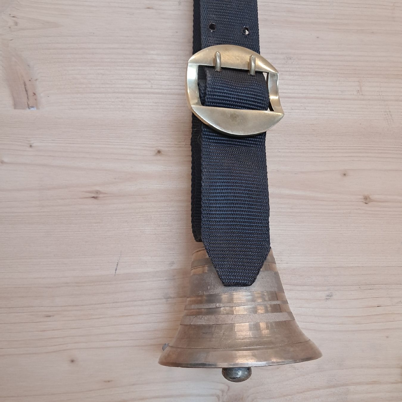 Campanacci mucche: SCHLICHTE KLEINE GLOCKE  – Usato da Murten venduto da SHETHOF 1