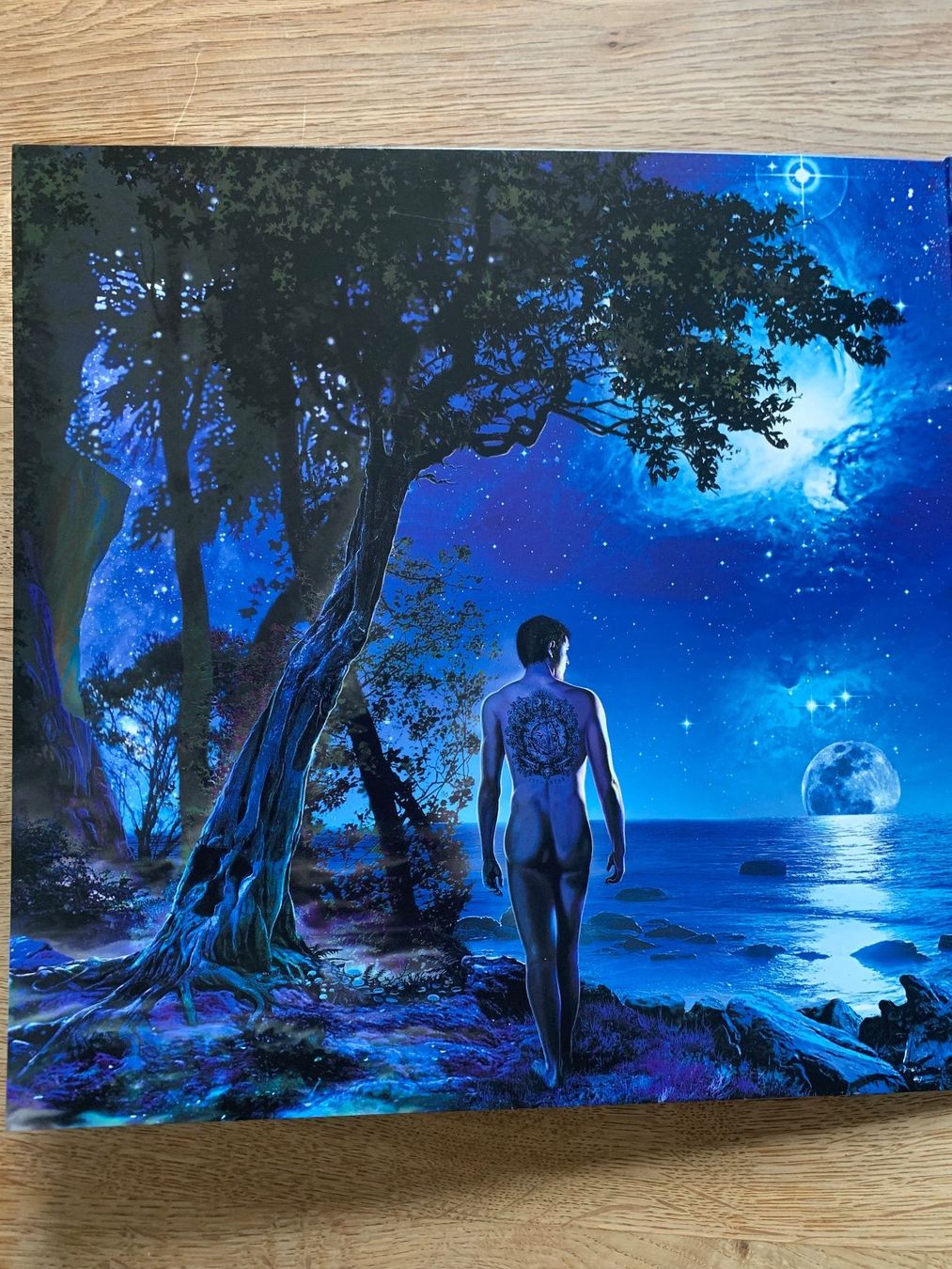 Dischi in vinile: Fish - 13th Star – Usato da Balzers venduto da Amontelm 1