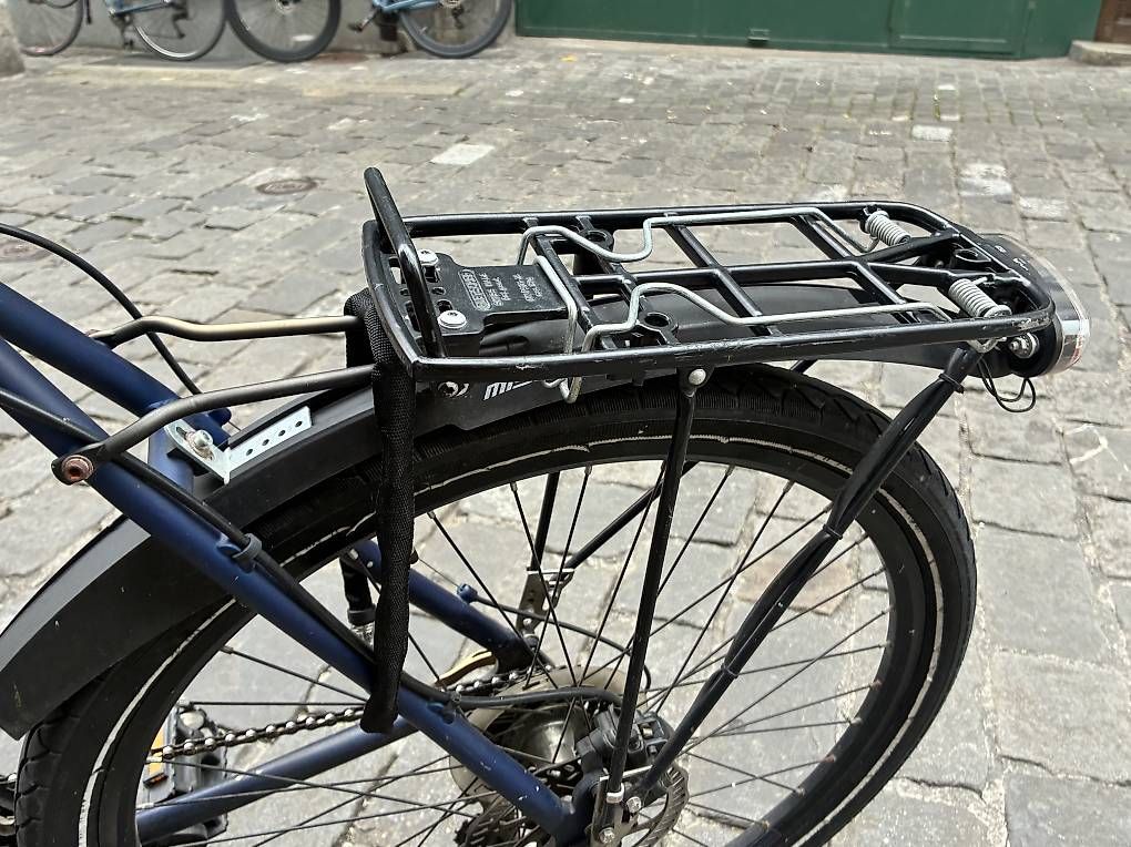 Biciclette: Raleigh Funmax Velo – Usato da Bern venduto da noalands 3