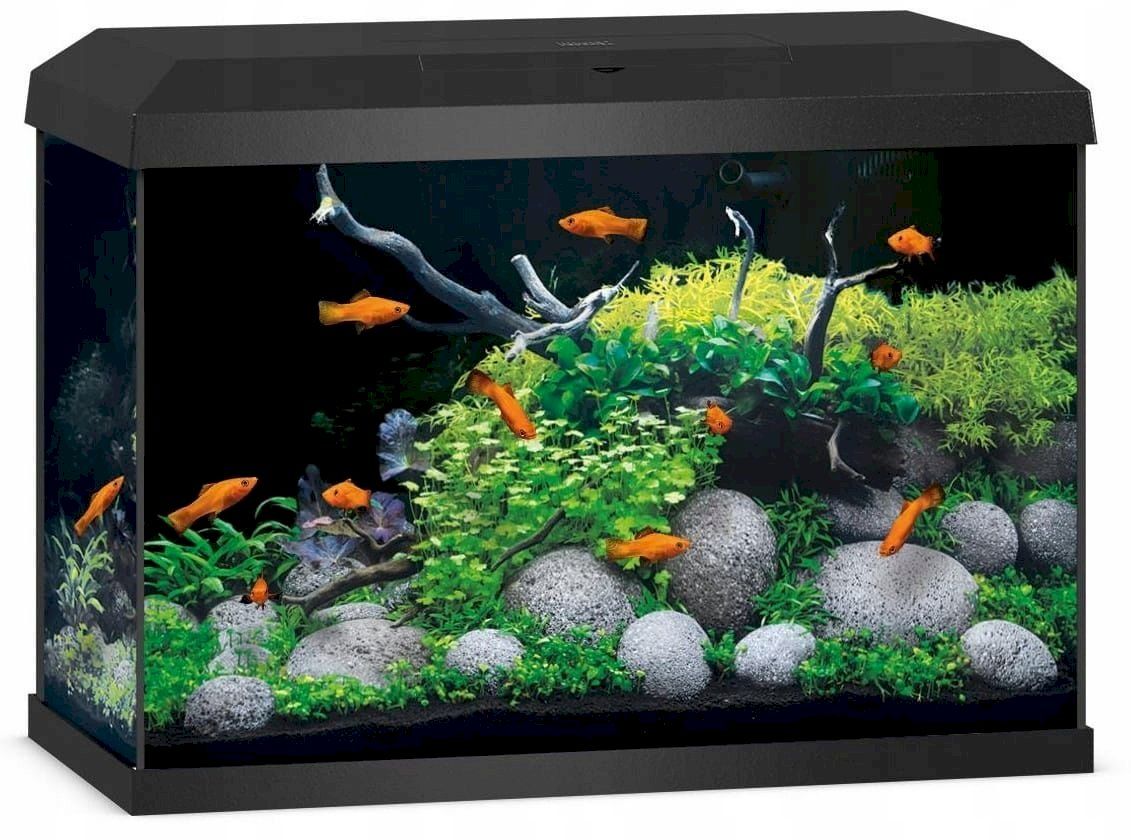 Acquari: Juwel Primo 70 LED 2.0 Aquarium schwarz – Nuovo e nell'imballaggio originale da Bottighofen venduto da zaap