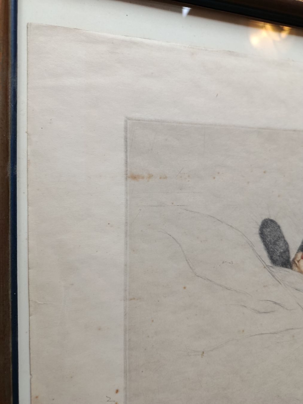 Gemälde: Guido Grünewald Katze Radierung – Gebraucht aus Riehen von twentymodern 4