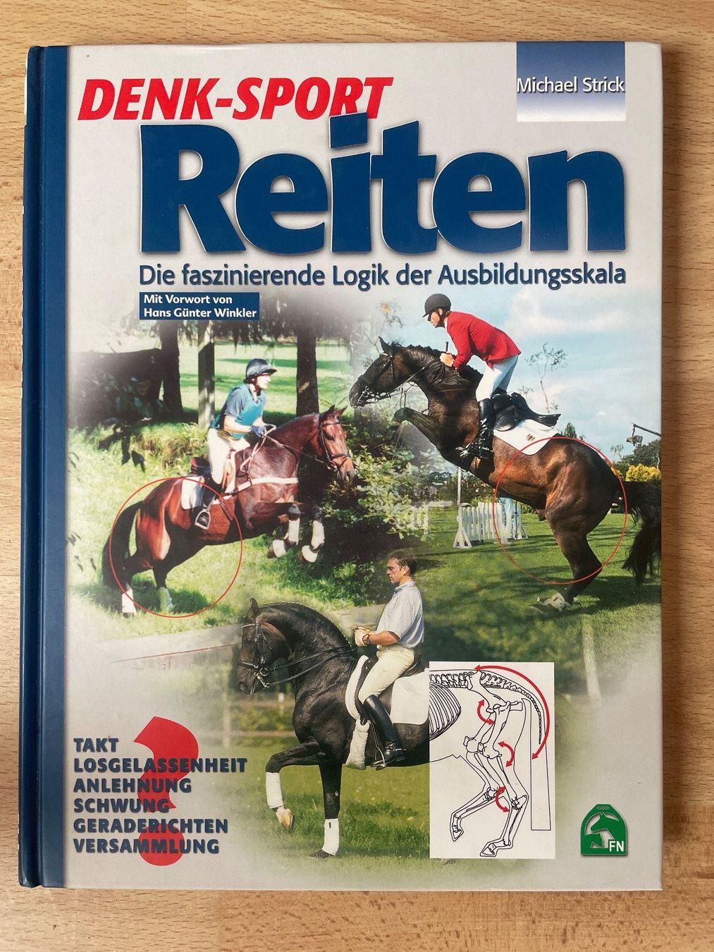 Libri: Reitbuch "Denk-Sport Reiten" – Usato da Wiedlisbach venduto da Lusco