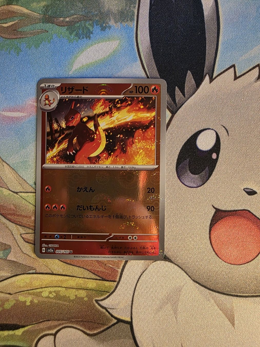 Pokémon Carte collezionabili: Charmeleon #5 Pokeball Reverse Holo! – Usato da Wohlen AG venduto da GreedyPkM
