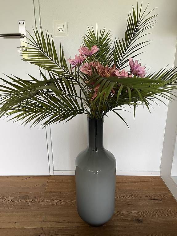 Vasi & Recipienti: Deko Pflanze mit optionaler Vase – Usato da Emmenbrücke venduto da Swissseller7