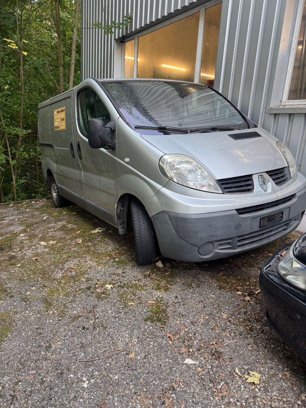 Renault Automobili: Renault Trafic – Usato da St.Gallen venduto da kraezerngarage