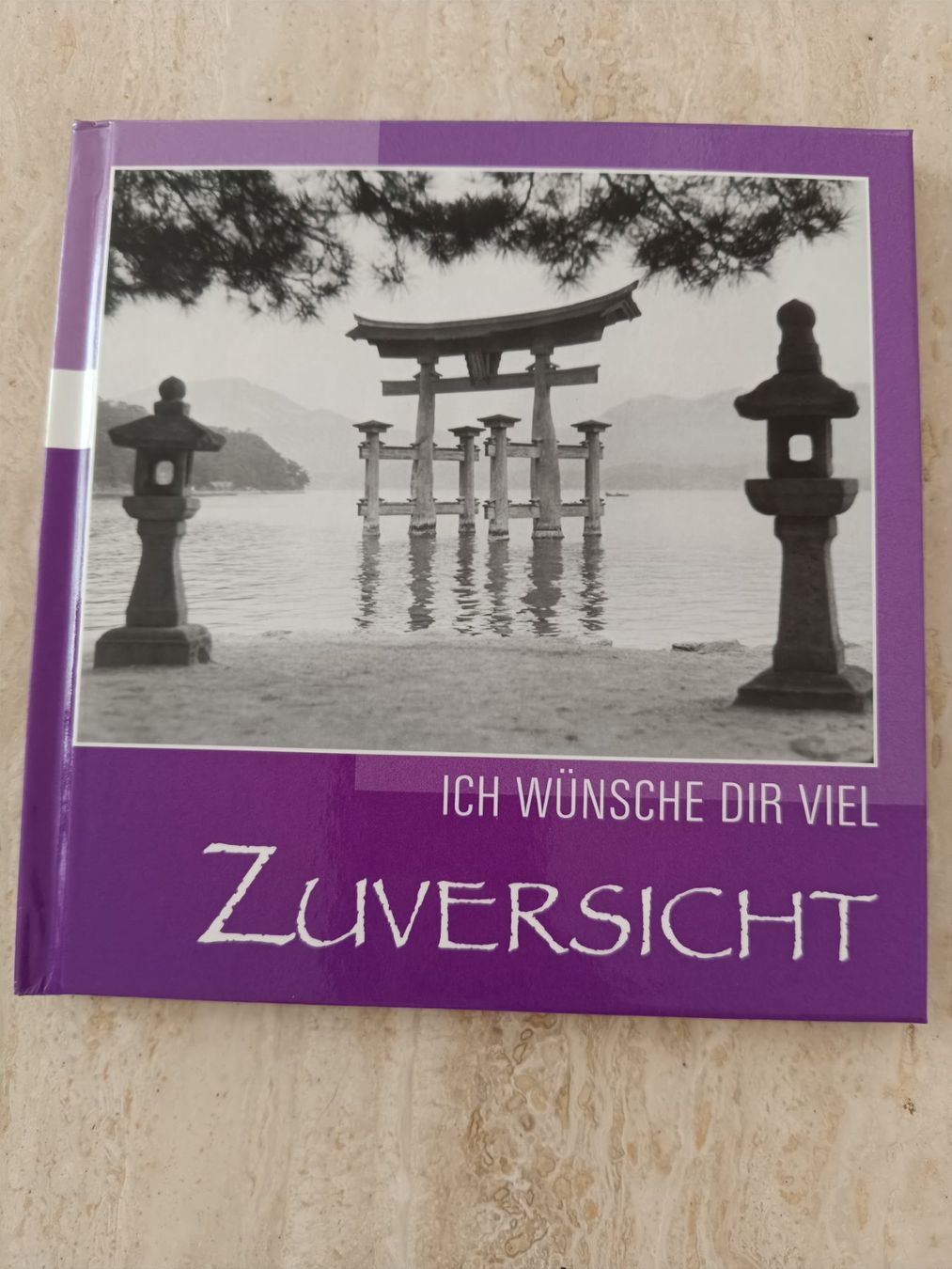 Libri: Buch Ich Wünsche dir viel Zuversicht – Nuovo (secondo la descrizione) da Wenslingen venduto da Stibi04