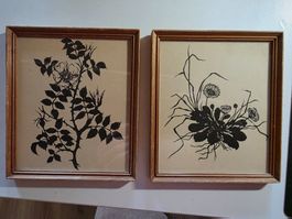 2 schöne Blumen Bilder Natur Pflanzen