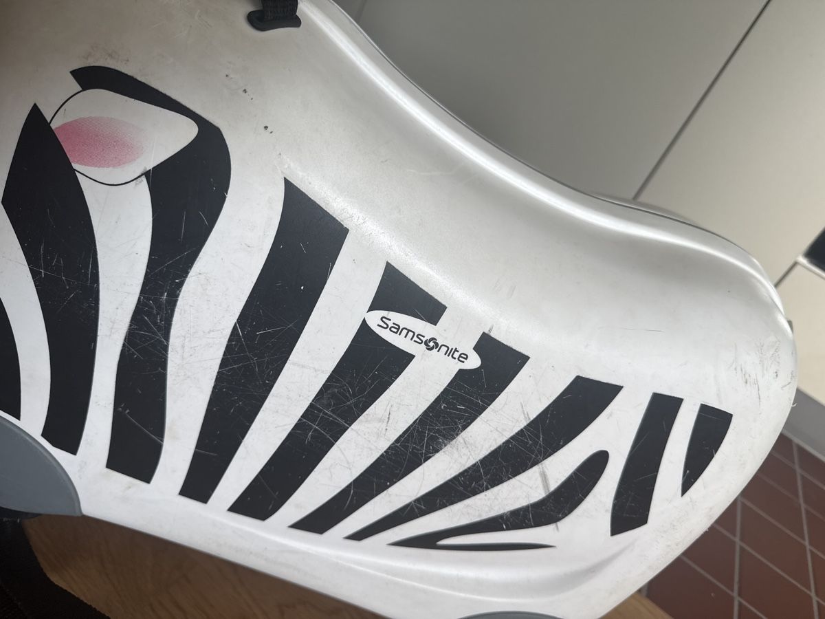 Altro in Aeronautica: Kids Samsonite Zebra Trunki Ride-On Suitcase – Usato da Zürich venduto da okarioto 1