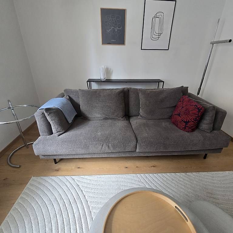 Divani: Design Sofa 3 Sitzer Stoff grau – Usato da Zürich venduto da leara.milani 2