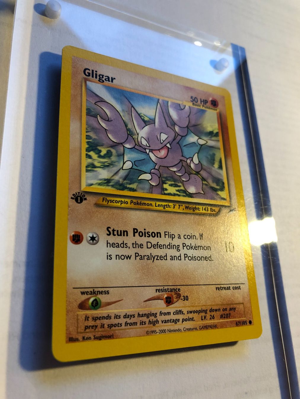 Carte collezionabili: Gligar 1st Neo Destiny - MINT - ab 1.- – Usato da Giubiasco venduto da dan_pr8b 1