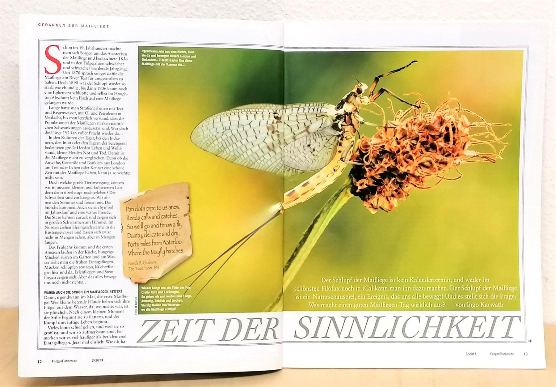 Riviste & Magazine: FliegenFischen – Nr. 3/2013 – Usato da Reinach BL venduto da fliegenrolli 2