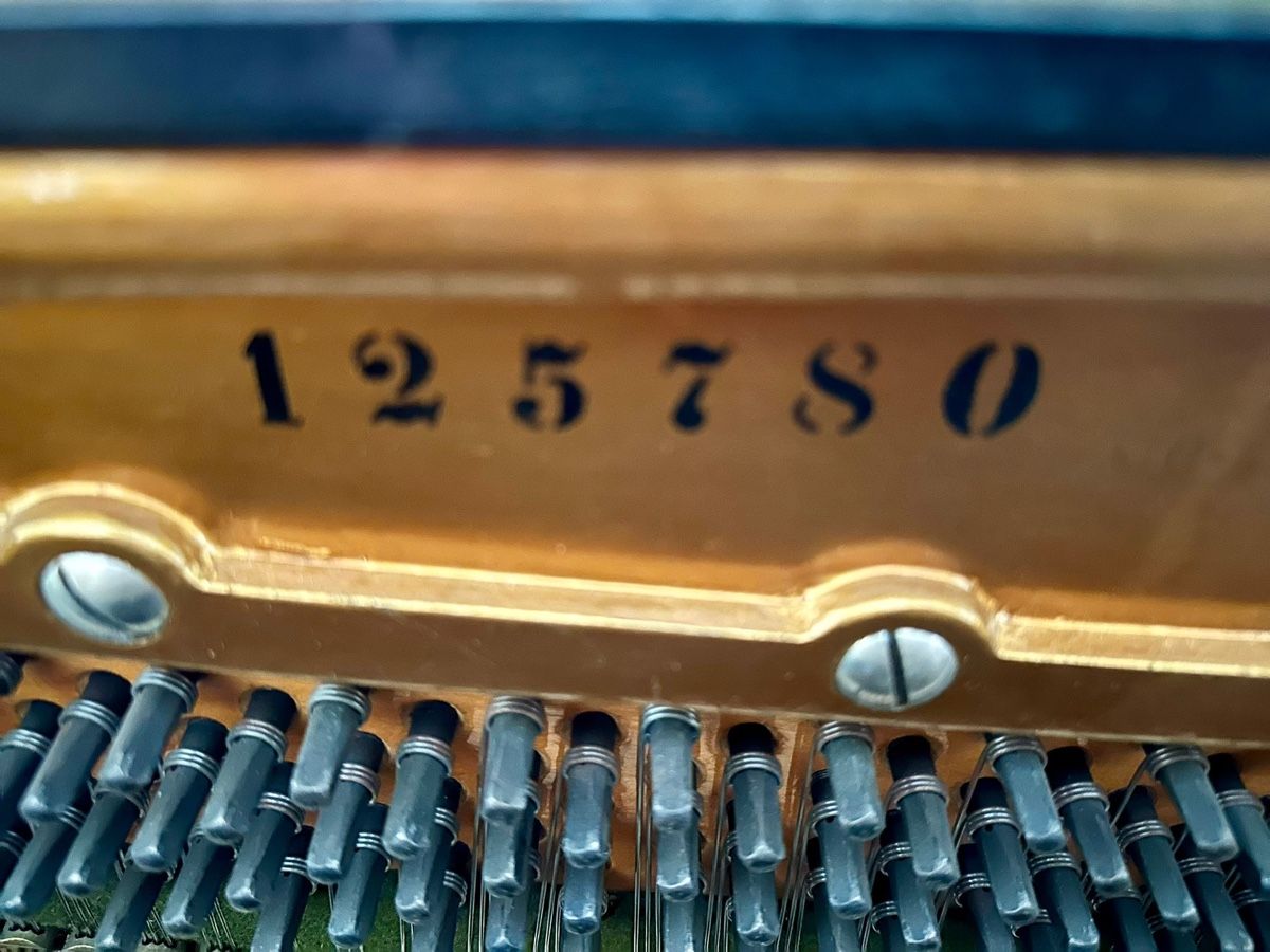 Strumenti musicali: Bechstein Klavier, gut erhaten, Schwarz – Usato da Vogelsang AG venduto da urhida 2