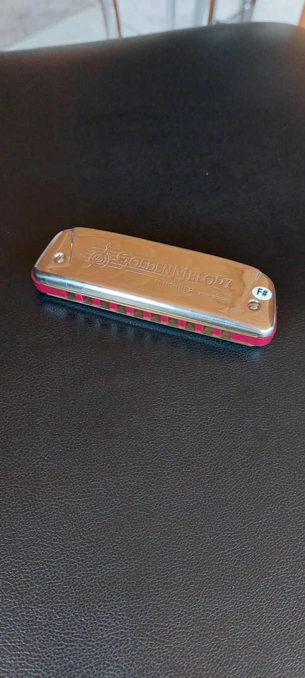 Hohner Musikinstrumente: Hohner Golden Melody 542/20 LowF# – Neu (gemäss Beschreibung) aus Uffikon von Bbingo