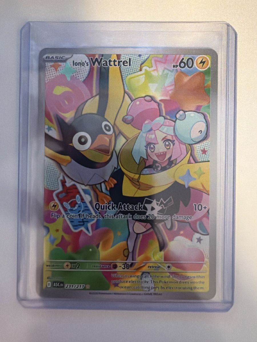 Pokémon Cartes à collectionner: Pokemon Wattrel – Neuf (Voir description) à Winterthur par stipooo97