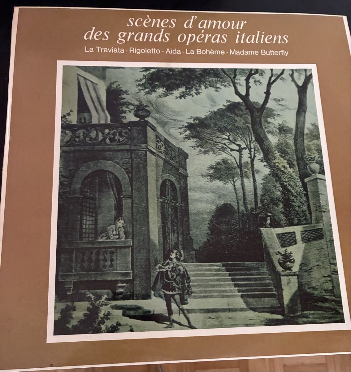 Dischi in vinile: Lot de 36 Vinyles – Usato da Onex venduto da nonoemi06 1
