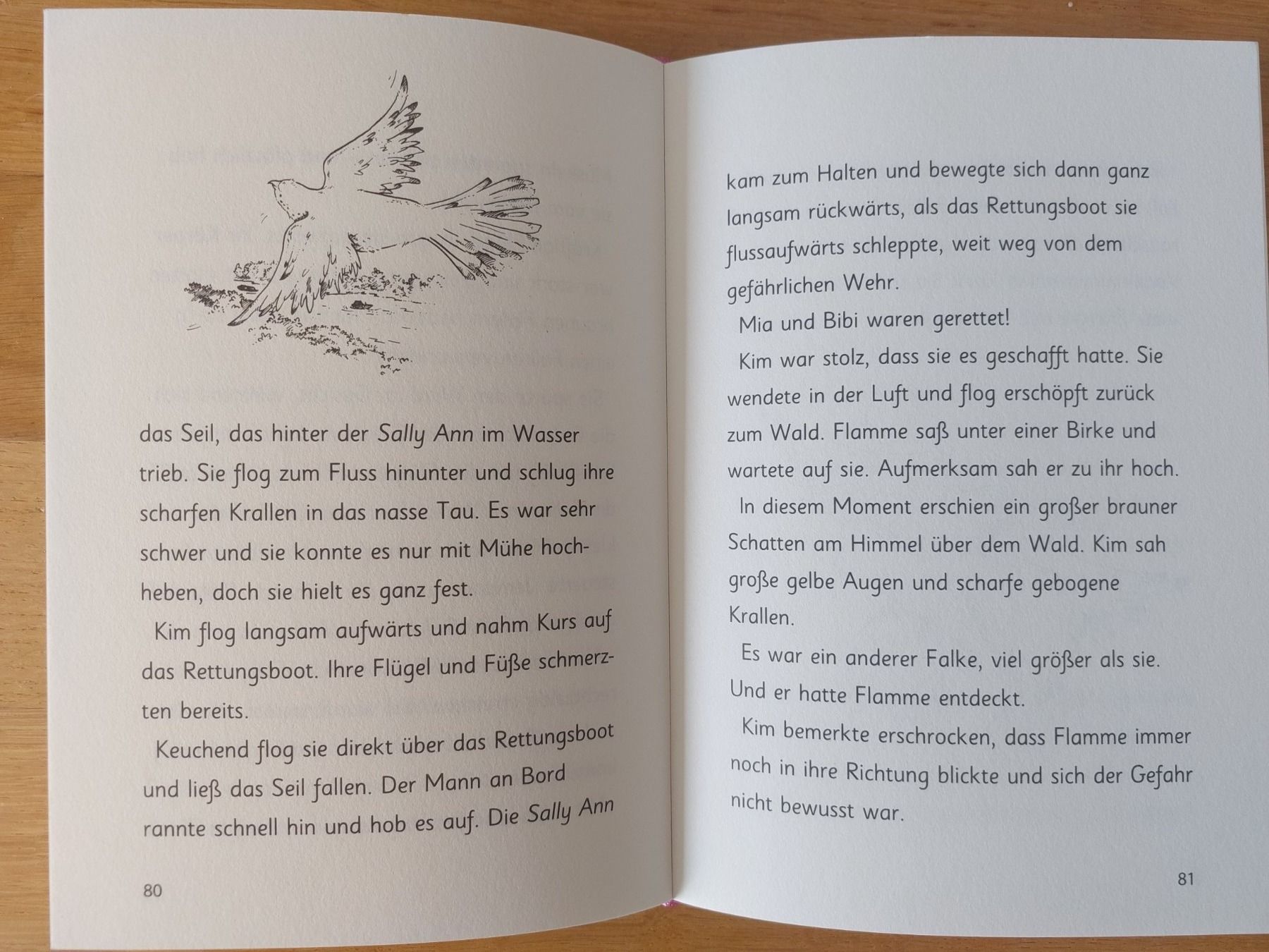 Libri: Zauber Kätzchen - Doppelter Ärger – Usato da Balterswil venduto da Steineparadies 2