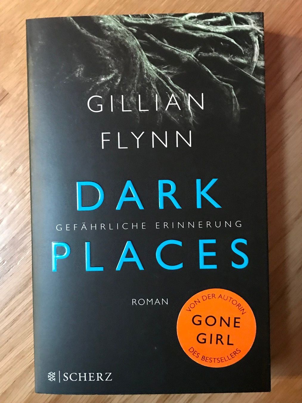 Libri: Dark Places - Gilian Flynn – Nuovo (secondo la descrizione) da Amden venduto da Arven-Schmuck