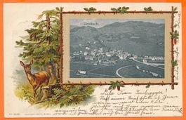 URNÄSCH / AR - Gesamtansicht auf Prägekarte 1901
