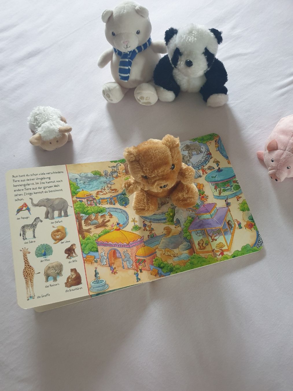 Giocattoli: Tierbuch Bilder suchen & 5 passende Kuscheltiere – Usato da Winterthur venduto da ivo_hmm2 2