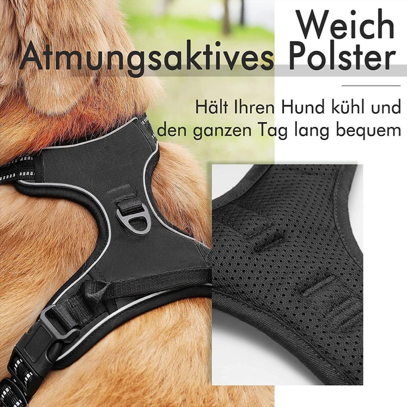 Geschirrsets: Hundegeschirr für Große Hunde Anti Zug – Neu (gemäss Beschreibung) aus Thun von Newnewshop 2
