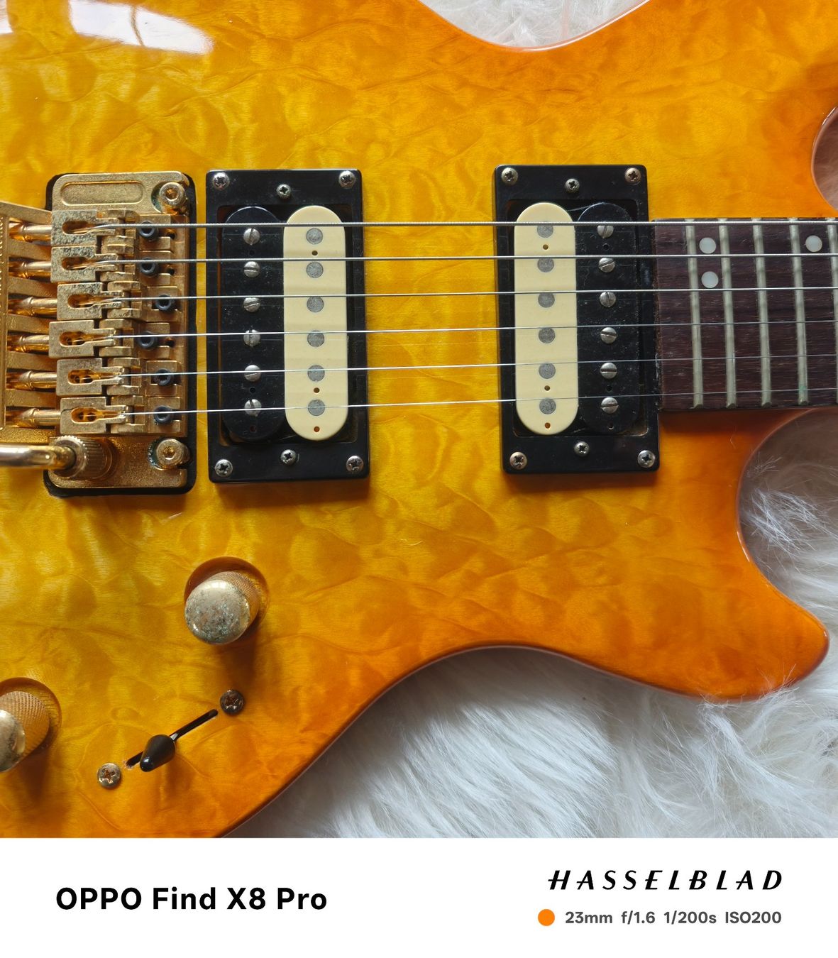 Strumenti musicali: Zerberus Q-Deluxe Jg. 2003 – Usato da Seuzach venduto da Markleeroy 1