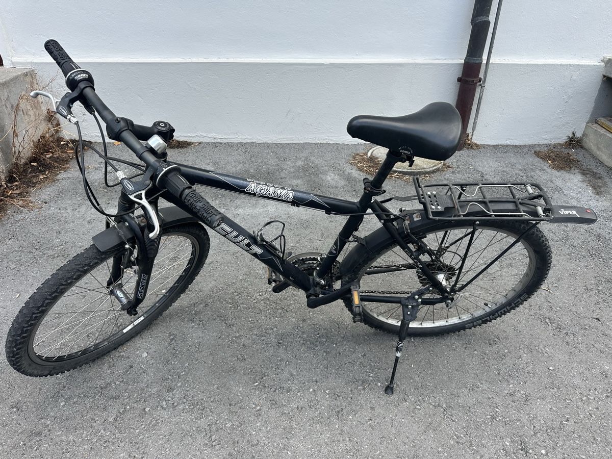 Biciclette: Velo Cult 26 Zoll  – Usato da Heerbrugg venduto da sha_6bxl 3