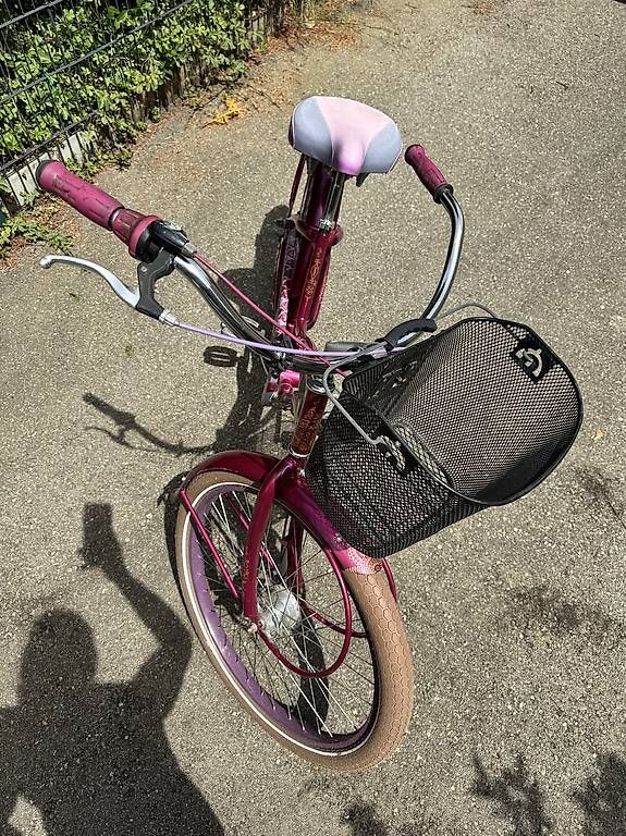 Biciclette: Citybike  – Usato da Balsthal venduto da Kalii1 2